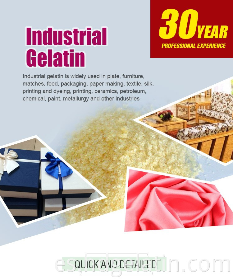 Industrial Halal Halal Nice Gelatin de carne de res para paintball para papel abrasivo